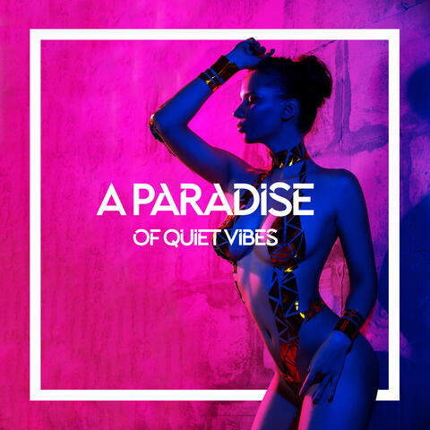 A Paradise of Quiet Vibes