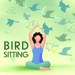 ASMR Bird: Crickets Tropical Birds Morning. Crows