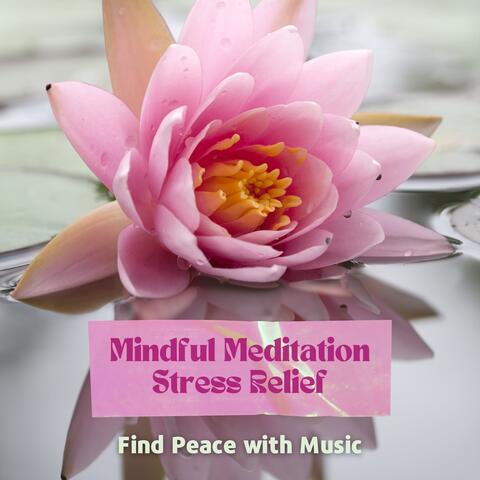 Mindful Meditation Stress Relief - Find Peace with Music