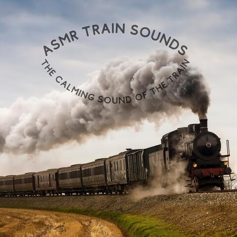 The Calming Sound of the Train