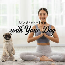 Dogs Stress Killer Therapy