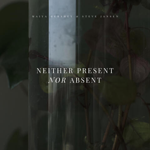 Neither Present Nor Absent