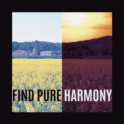 Find Pure Harmony: Relaxing Evening and Morning with Calm Melodies of Piano