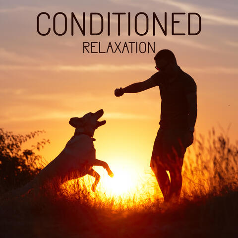 Conditioned Relaxation: Dog Training Music