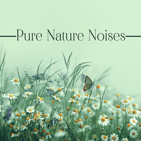 Pure Nature Noises