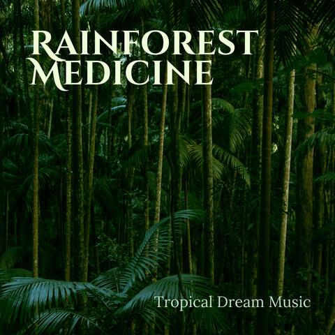Rainforest Medicine - Tropical Dream Music
