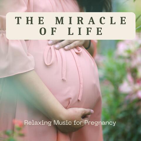 The Miracle of Life - Relaxing Music for Pregnancy