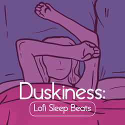 Lofi Sleep Music