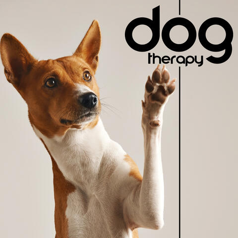 Dog Therapy: Music For Animal-Assisted Therapy
