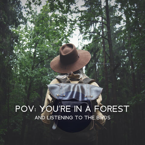 Pov: You’re in a Forest and Listening to the Birds