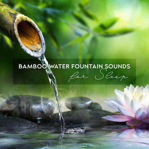 Bamboo Water Fountain Sounds for Sleep: Relax and Fall Asleep Easily, Zen Music, Peaceful Ambience for Sleep