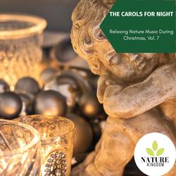 Dreamy Mountain Night