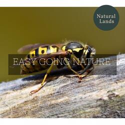 Oceanic Blue Water Tickling