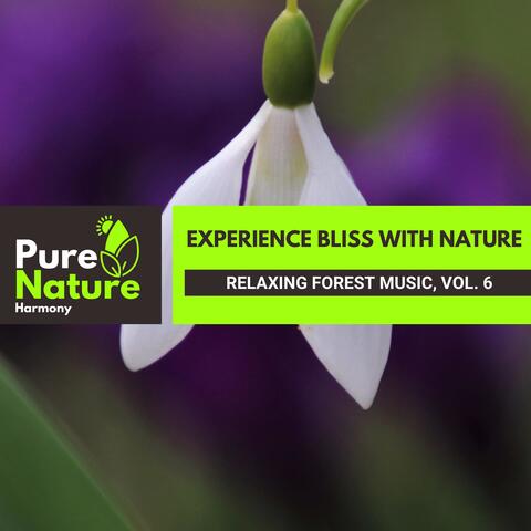 Experience Bliss with Nature - Relaxing Forest Music, Vol. 6