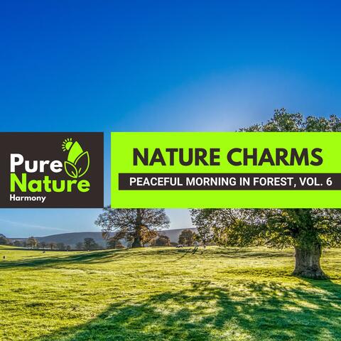 Nature Charms - Peaceful Morning in Forest, Vol. 6