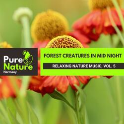 Sounds of Crickets in the Night