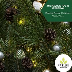 Rocky Mountain Night