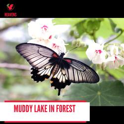 Saga of the Mountain Night