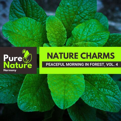 Nature Charms - Peaceful Morning in Forest, Vol. 4