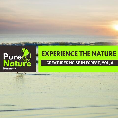Experience the Nature - Creatures Noise in Forest, Vol. 6