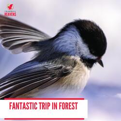 Erotic Mountain Night