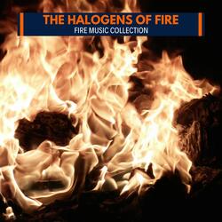 Storm at Woodland Forest