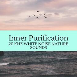 Enjoy Ocean and Squirrel Noise