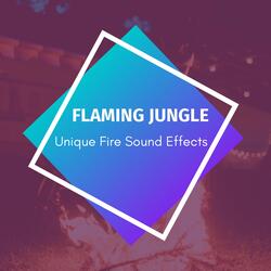 Blissful Relaxing Fire Sound