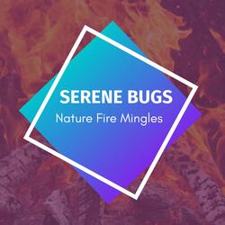 Bugs Noise In The Forest