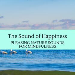 Moonlight Forest and Bugs Noise