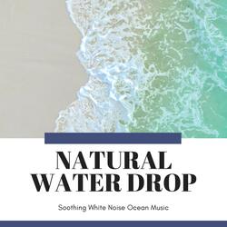 Rejuvenating Ocean Waves Rhythms