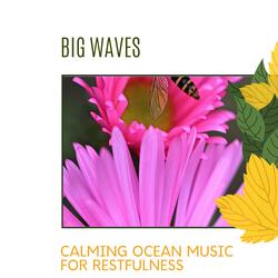 Ambient Ocean Views