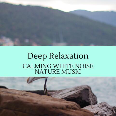 Deep Relaxation - Calming White Noise Nature Music