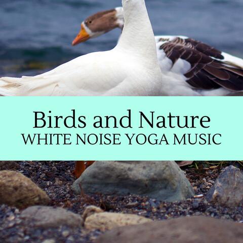Birds and Nature - White Noise Yoga Music