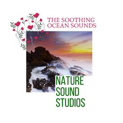 Ambient Ocean Waves