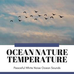 The Ocean Weather