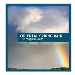 Wonderful Light Spring Rain