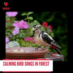 Wonderful Sound of the Winds and Leaves