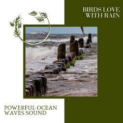 Absorb Ocean Pleasure