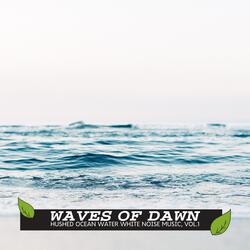 Ambient Ocean and Bird Sound