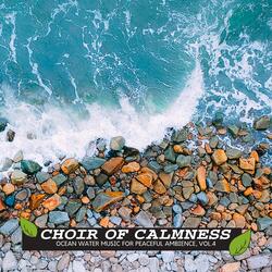 White Noise of Ocean Waves