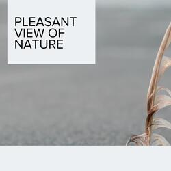 Beautiful Nature of Waterfall