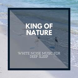 New Age Ocean Waves
