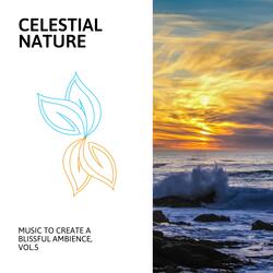 Relax with Fire Sounds