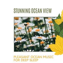 Immense Ocean Pleasure