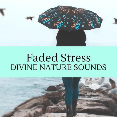 Faded Stress - Divine Nature Sounds