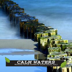 Practical Waves Distant Muffed Music