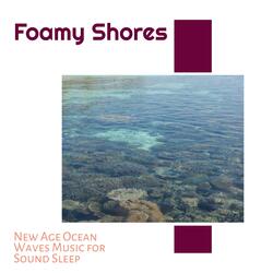 Ambient Ocean and Bird Sound