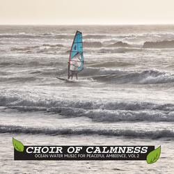Hooting Waves