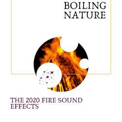 Morning Fire and Joyful Birds